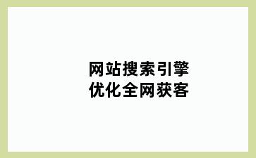 网站搜索引擎优化全网获客