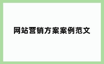 网站营销方案案例范文