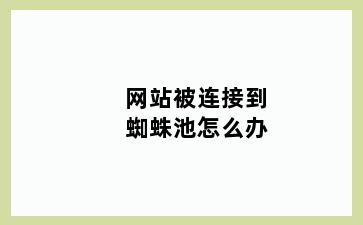 网站被连接到蜘蛛池怎么办