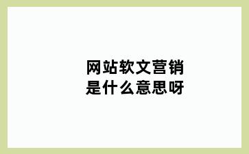 网站软文营销是什么意思呀