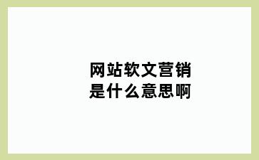 网站软文营销是什么意思啊