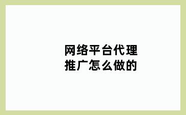 网络平台代理推广怎么做的