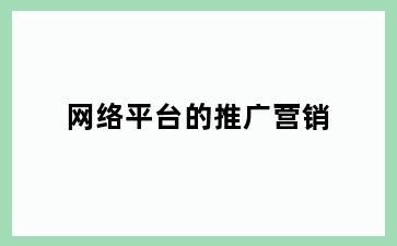 网络平台的推广营销