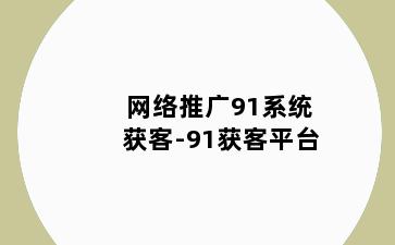 网络推广91系统获客-91获客平台