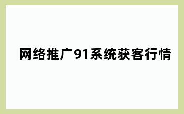 网络推广91系统获客行情