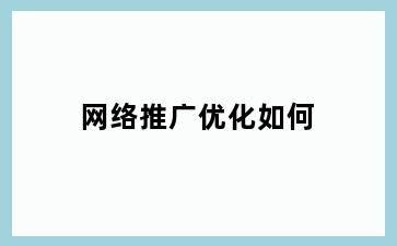网络推广优化如何