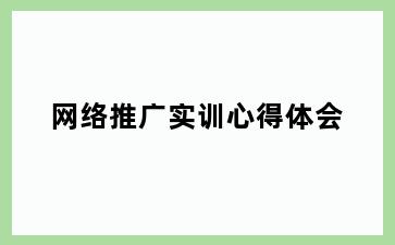 网络推广实训心得体会