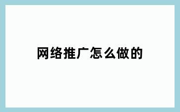 网络推广怎么做的