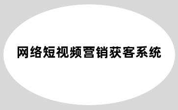 网络短视频营销获客系统