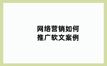 网络营销如何推广软文案例