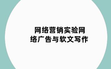 网络营销实验网络广告与软文写作