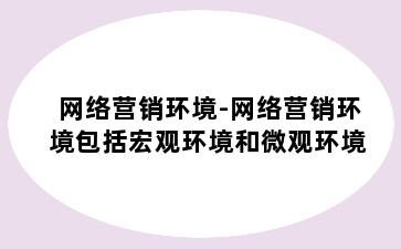 网络营销环境-网络营销环境包括宏观环境和微观环境