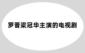 罗晋梁冠华主演的电视剧