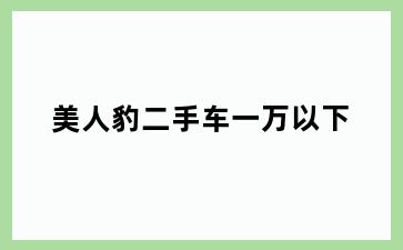 美人豹二手车一万以下