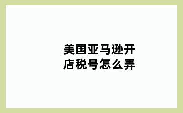 美国亚马逊开店税号怎么弄
