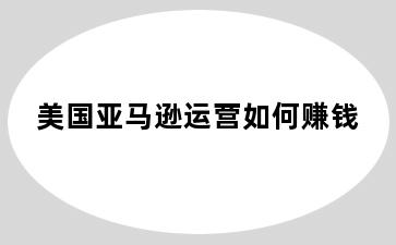 美国亚马逊运营如何赚钱