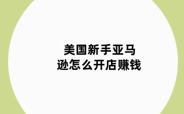 美国新手亚马逊怎么开店赚钱