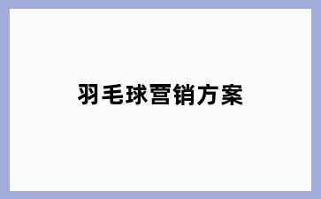羽毛球营销方案