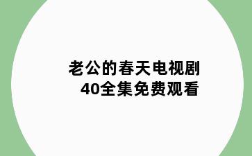 老公的春天电视剧40全集免费观看
