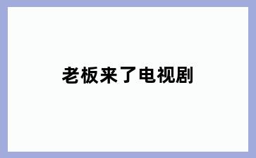老板来了电视剧