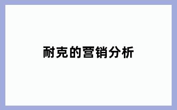 耐克的营销分析