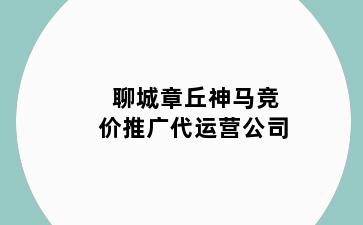 聊城章丘神马竞价推广代运营公司