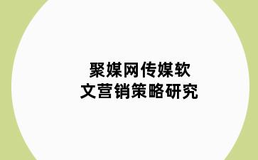 聚媒网传媒软文营销策略研究