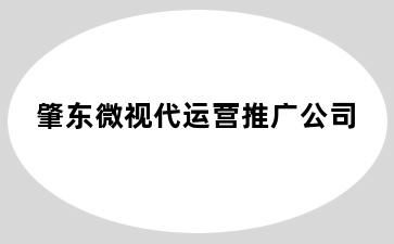 肇东微视代运营推广公司