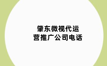 肇东微视代运营推广公司电话