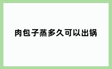 肉包子蒸多久可以出锅