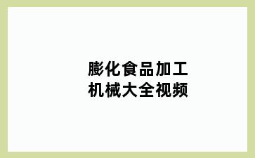 膨化食品加工机械大全视频