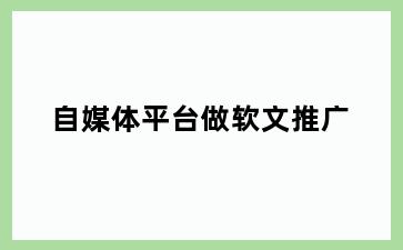 自媒体平台做软文推广
