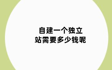 自建一个独立站需要多少钱呢
