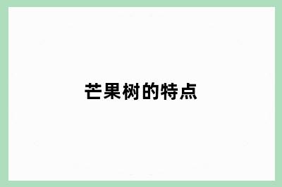 芒果树的特点