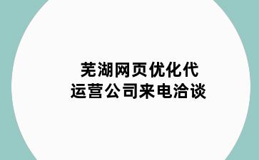 芜湖网页优化代运营公司来电洽谈
