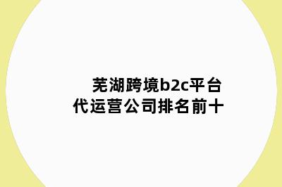 芜湖跨境b2c平台代运营公司排名前十