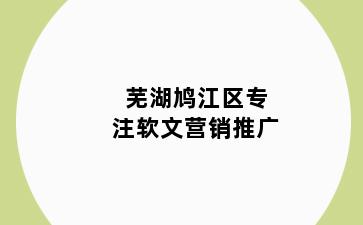 芜湖鸠江区专注软文营销推广