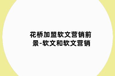 花桥加盟软文营销前景-软文和软文营销