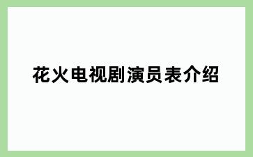 花火电视剧演员表介绍