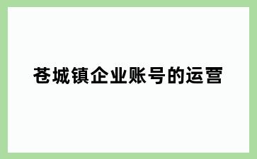 苍城镇企业账号的运营
