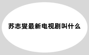 苏志燮最新电视剧叫什么