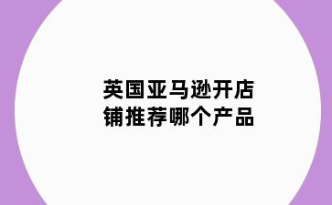 英国亚马逊开店铺推荐哪个产品