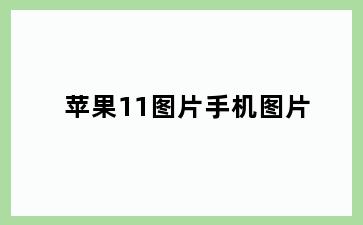 苹果11图片手机图片