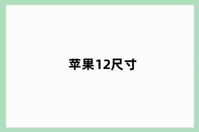 苹果12尺寸