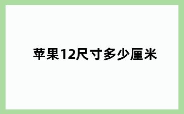 苹果12尺寸多少厘米