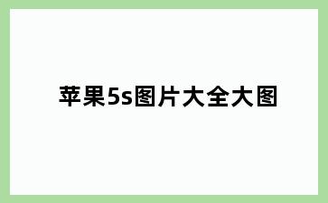 苹果5s图片大全大图