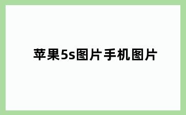 苹果5s图片手机图片