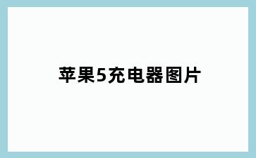 苹果5充电器图片