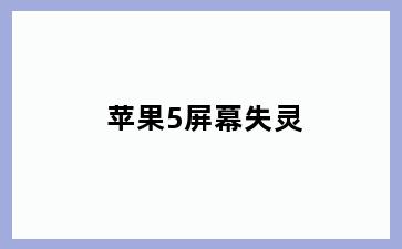 苹果5屏幕失灵