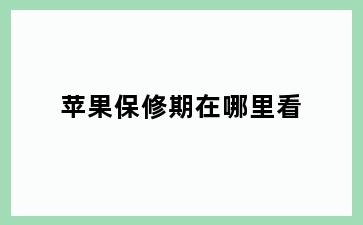 苹果保修期在哪里看